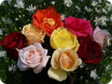 blumen21